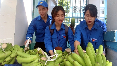 Chương trình chuối nghĩa tình của sinh viên Việt