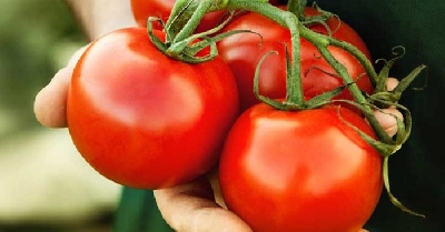 Dinh dưỡng tuyệt vời từ cà chua với sức khỏe