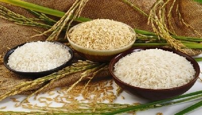 Gạo nếp và gạo tẻ gần như tương đồng về mặt giá trị dinh dưỡng