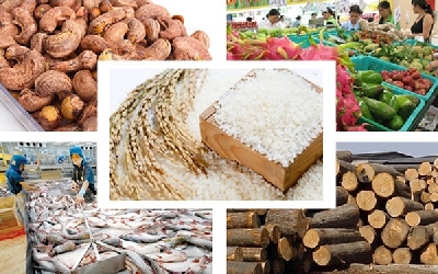 Hàng nông sản nhập khẩu vào thị trường các Châu
