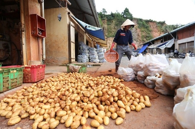 Hàng nông sản Trung Quốc nhập siêu vào Việt Nam