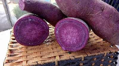 Phần lợi ích dinh dưỡng từ khoai lang