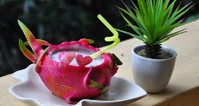 Tham khảo cách trồng và chăm sóc thanh long