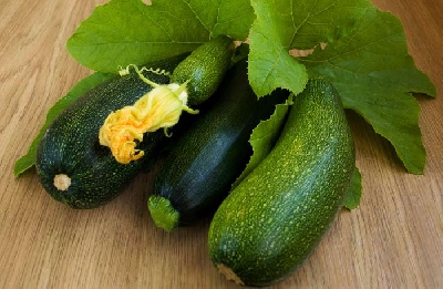 Trồng bí ngồi tại nhà không phải quá khó