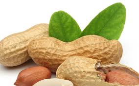 Giá trị dinh dưỡng và lợi ích sức khỏe của đậu phộng